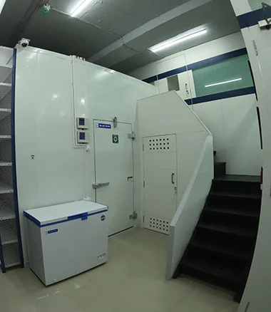 Cold Room